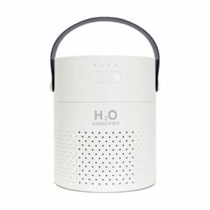 H2O Humidifier