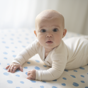 baby standard crib sheet