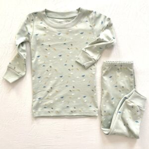 Home 9 Long Sleeve Pajama Set Pima Cotton - 5, Birds Aqua